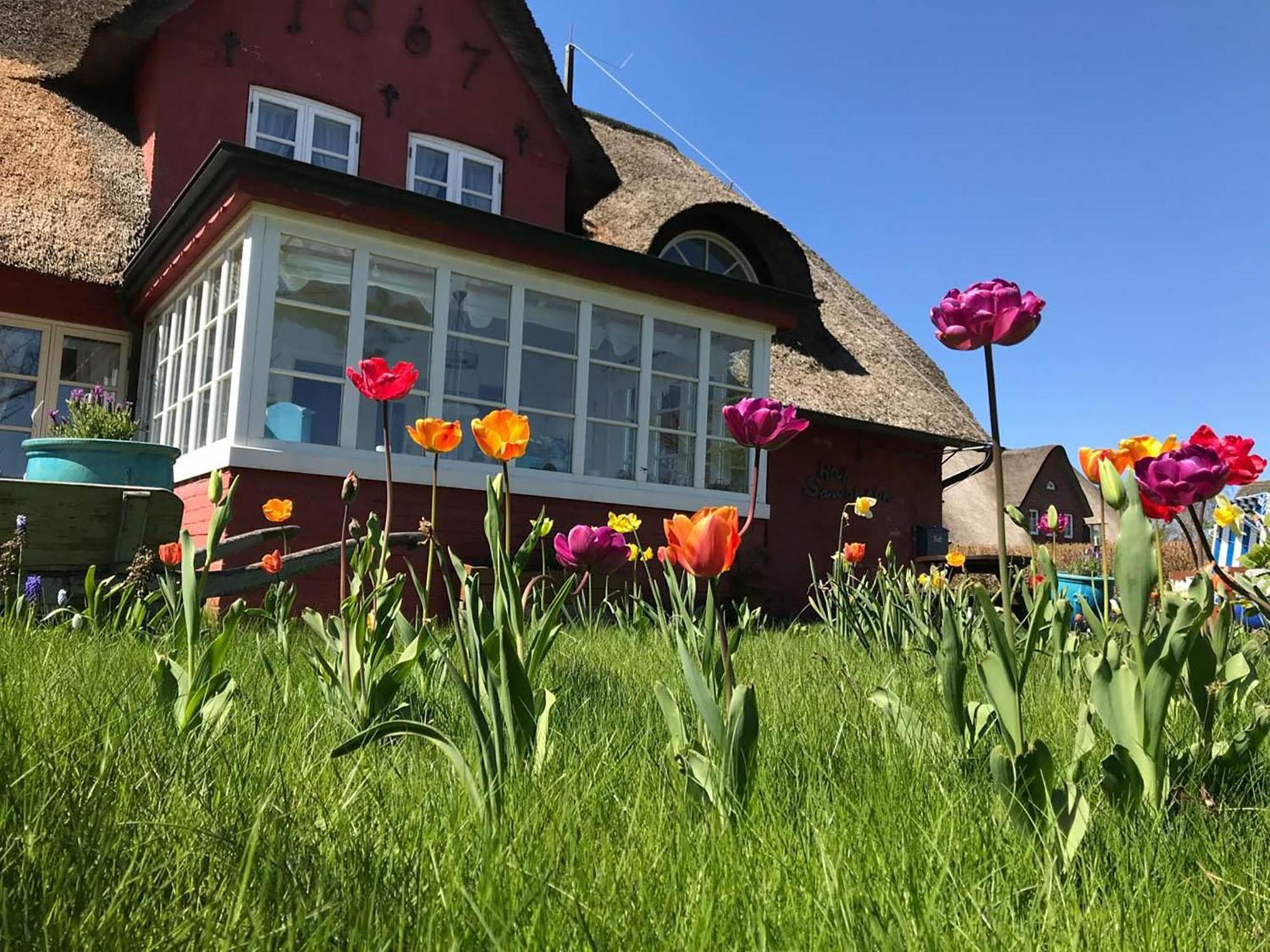 Hues Sanskiin Ferienwohnung *Goodshenk* Suddorf Eksteriør bilde