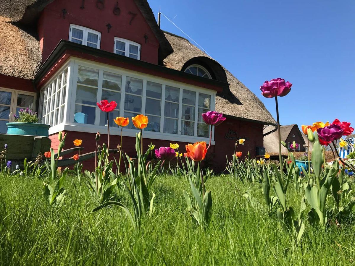Hues Sanskiin Ferienwohnung *Goodshenk* Suddorf Eksteriør bilde